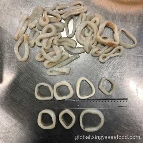 Squid Rings Frozen Frozen Squid Rings Dosidicus Gigas Squid Rings Manufactory
